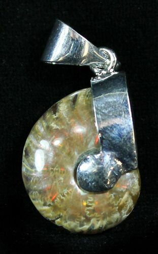 Whole Polished Ammonite Fossil Pendant #26930